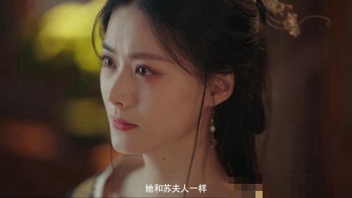 婢女电视剧分集简介