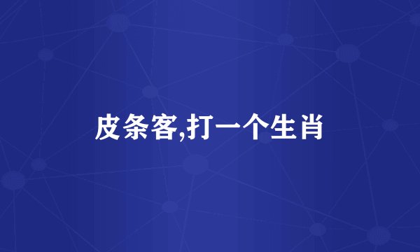 皮条客,打一个生肖