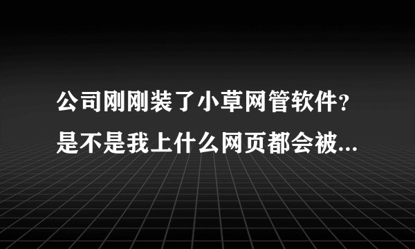 公司刚刚装了小草网管软件？是不是我上什么网页都会被监控？求教怎么躲开小草网管软件的监控