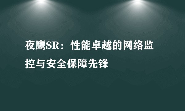 夜鹰SR：性能卓越的网络监控与安全保障先锋