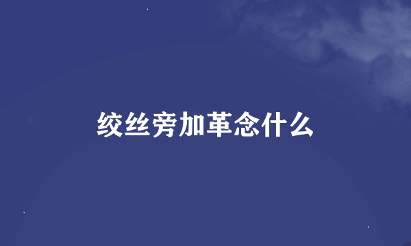 绞丝旁加革念什么