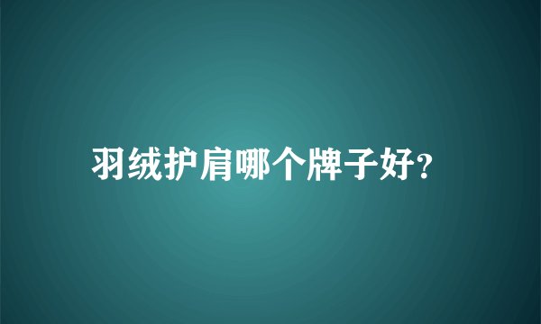 羽绒护肩哪个牌子好？