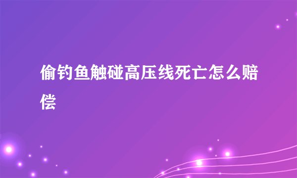 偷钓鱼触碰高压线死亡怎么赔偿