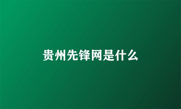 贵州先锋网是什么