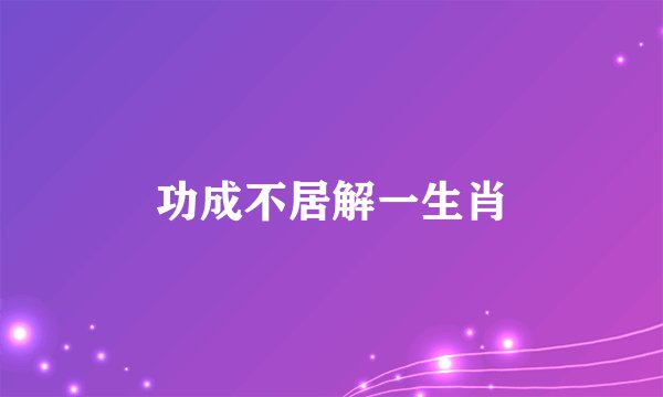 功成不居解一生肖