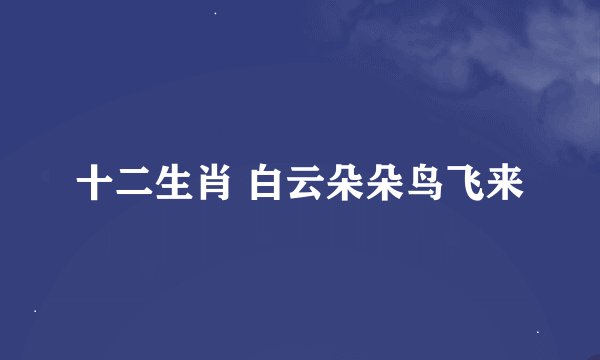 十二生肖 白云朵朵鸟飞来