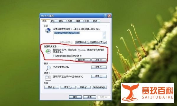 删除浏览器历史记录的方法