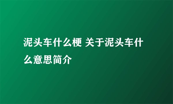 泥头车什么梗 关于泥头车什么意思简介