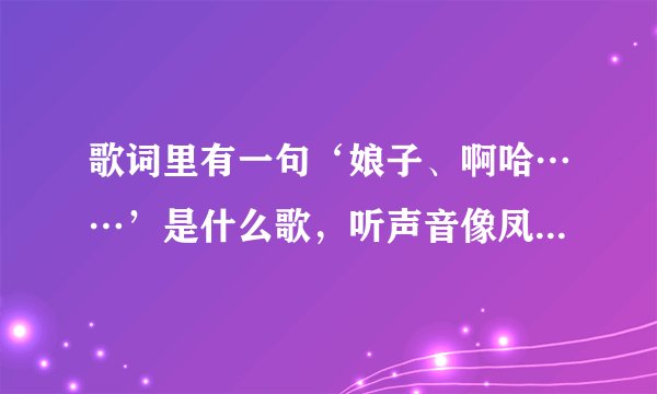 歌词里有一句‘娘子、啊哈……’是什么歌，听声音像凤凰传奇的，
