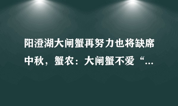 阳澄湖大闸蟹再努力也将缺席中秋,蟹农:大闸蟹不爱“吃饭”,长得慢
