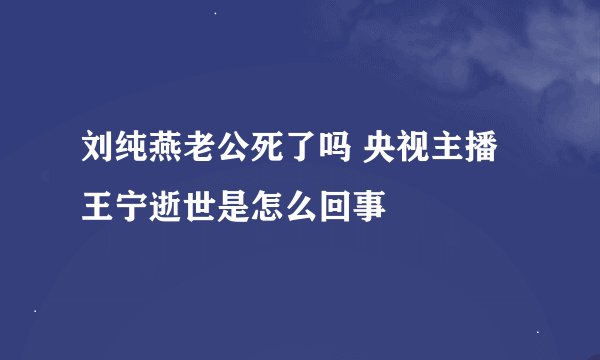 刘纯燕老公死了吗 央视主播王宁逝世是怎么回事