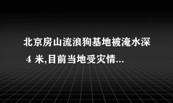 北京房山流浪狗基地被淹水深 4 米,目前当地受灾情况如何?