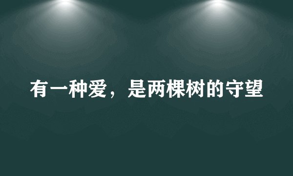 有一种爱，是两棵树的守望