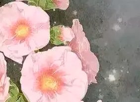 余冬至和夏至的小说