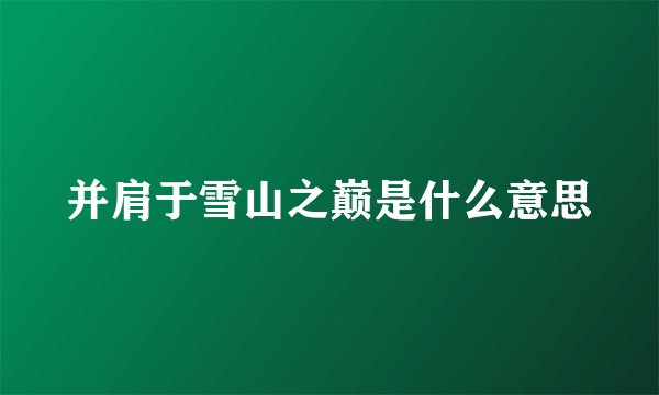 并肩于雪山之巅是什么意思