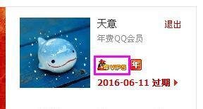 QQ会员升级篇-手机QQ签到送成长值及查看方法