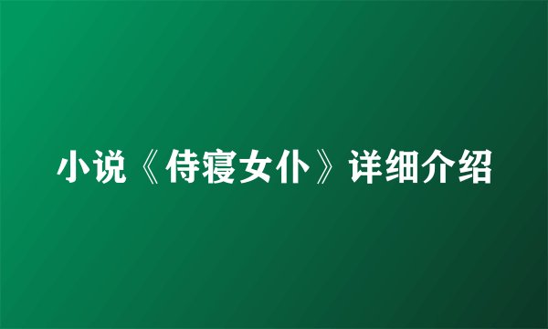 小说《侍寝女仆》详细介绍