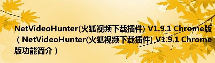 netvideohunter是什么软件？