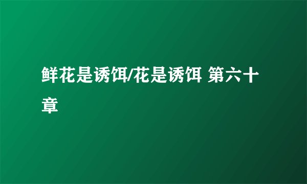 鲜花是诱饵/花是诱饵 第六十章