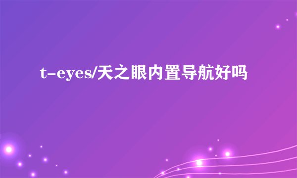 t-eyes/天之眼内置导航好吗