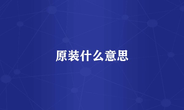 原装什么意思