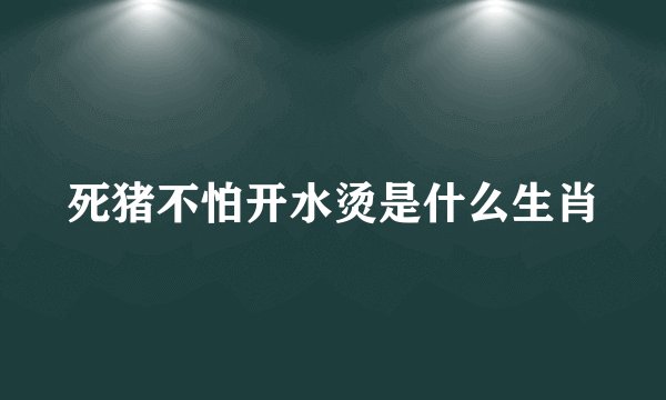 死猪不怕开水烫是什么生肖