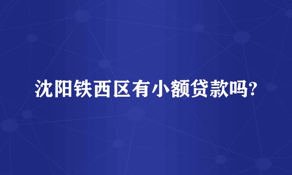 沈阳铁西区有小额贷款吗?