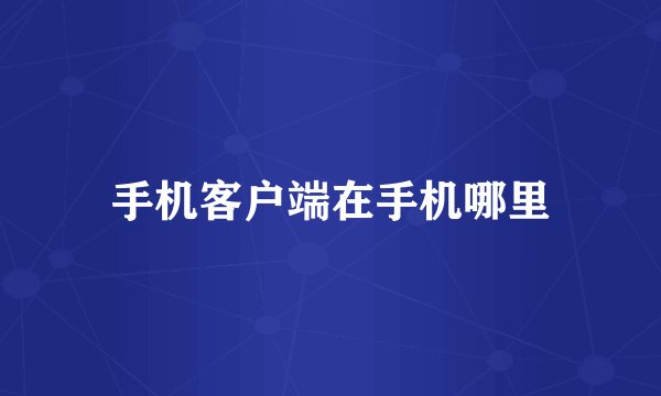 手机客户端在手机哪里