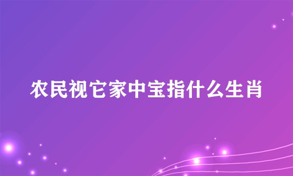 农民视它家中宝指什么生肖