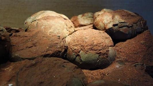 近日，在江西一处工地挖出6600万年前恐龙蛋化石，专家鉴定后有何发现？
