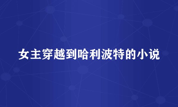 女主穿越到哈利波特的小说