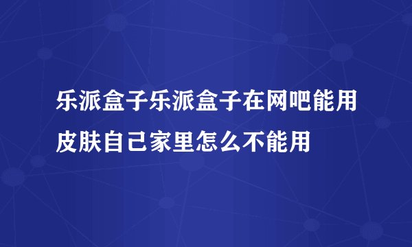 乐派盒子乐派盒子在网吧能用皮肤自己家里怎么不能用