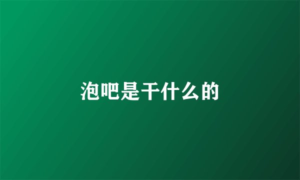 泡吧是干什么的