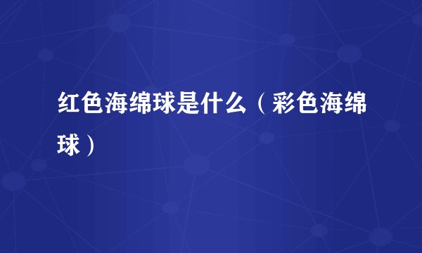 红色海绵球是什么（彩色海绵球）