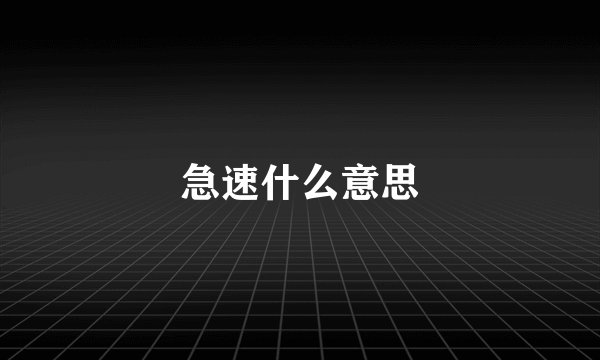 急速什么意思