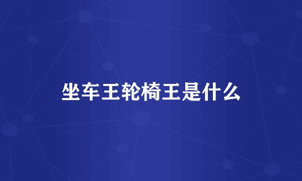 坐车王轮椅王是什么