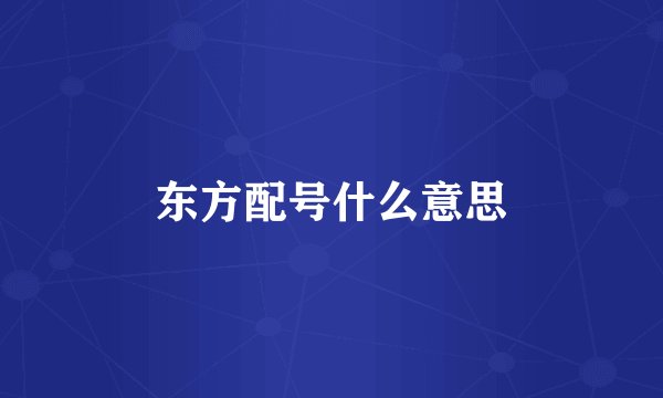 东方配号什么意思