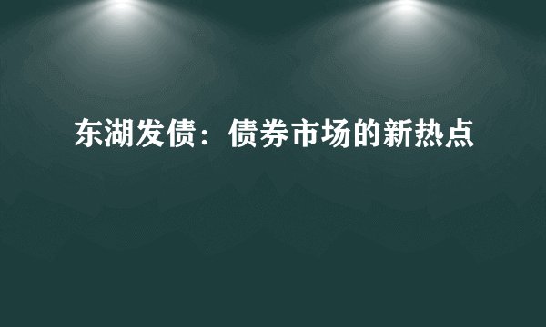东湖发债：债券市场的新热点