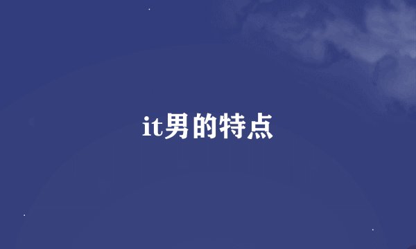 it男的特点