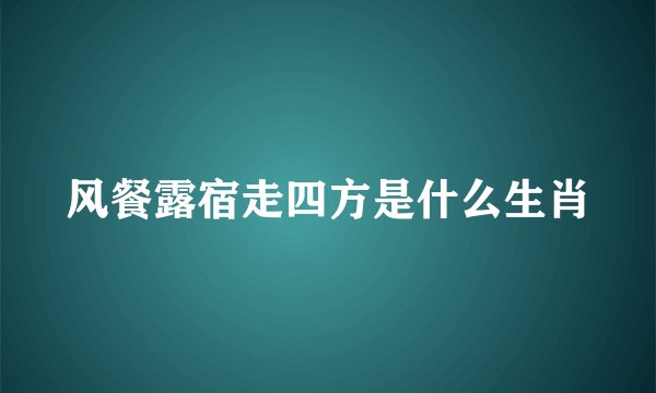 风餐露宿走四方是什么生肖