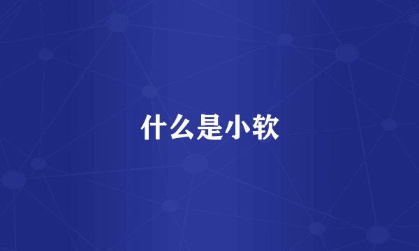 什么是小软