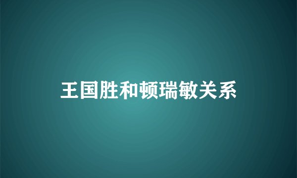 王国胜和顿瑞敏关系