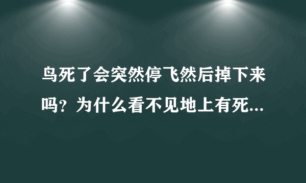 鸟死了会突然停飞然后掉下来吗？为什么看不见地上有死鸟？同伴会帮它埋葬吗？