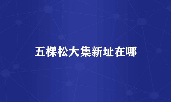 五棵松大集新址在哪
