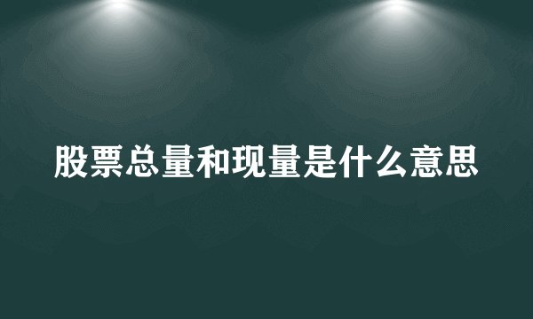 股票总量和现量是什么意思