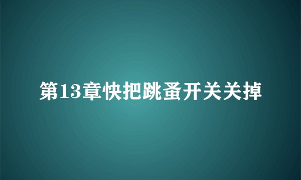 第13章快把跳蚤开关关掉