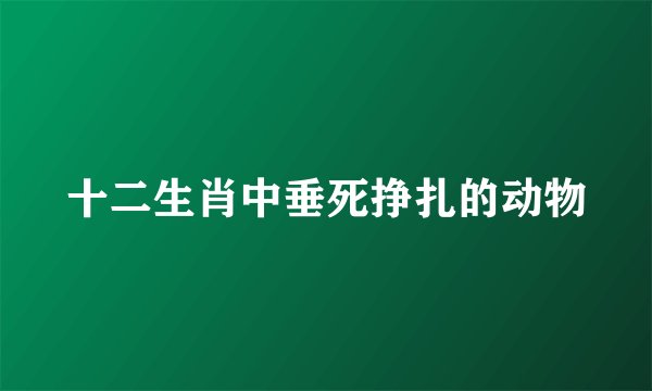 十二生肖中垂死挣扎的动物