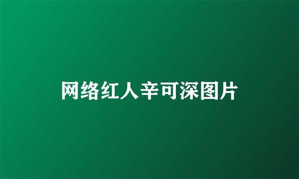 网络红人辛可深图片