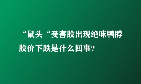 “鼠头“受害股出现绝味鸭脖股价下跌是什么回事？
