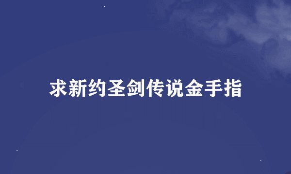 求新约圣剑传说金手指